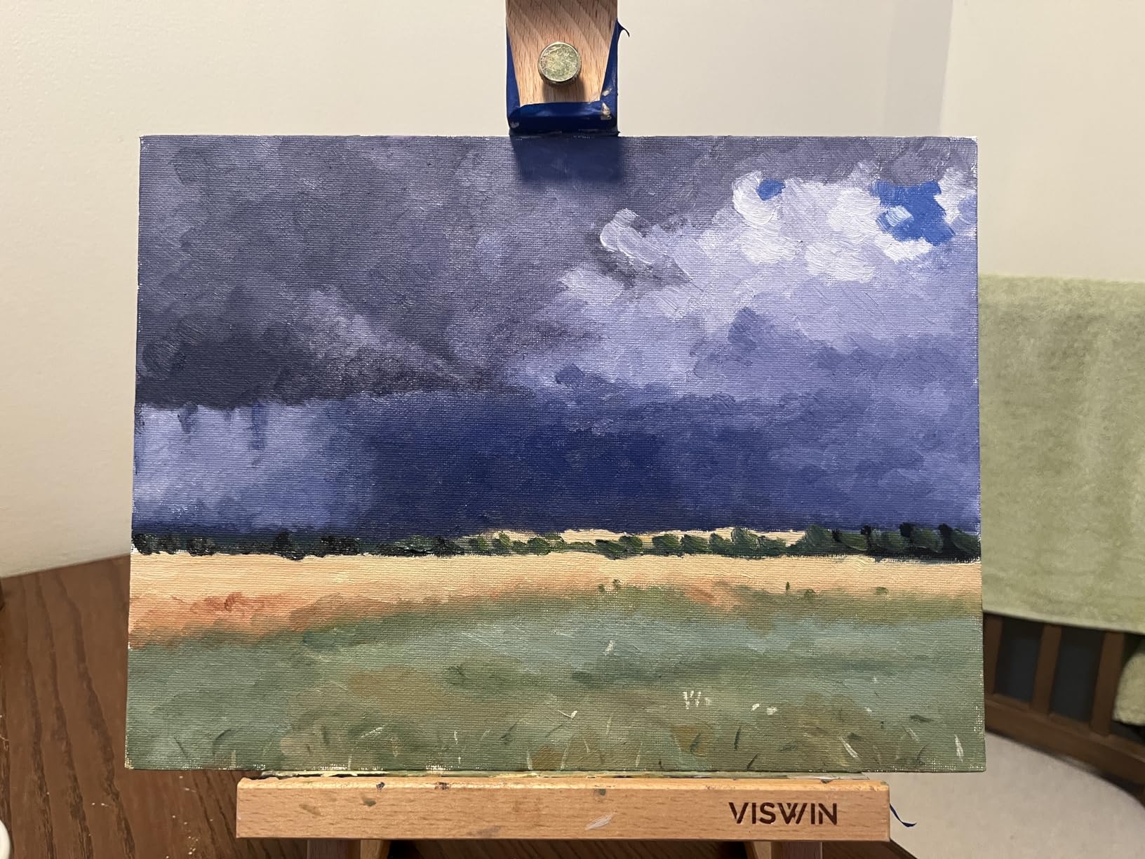 VISWIN 25