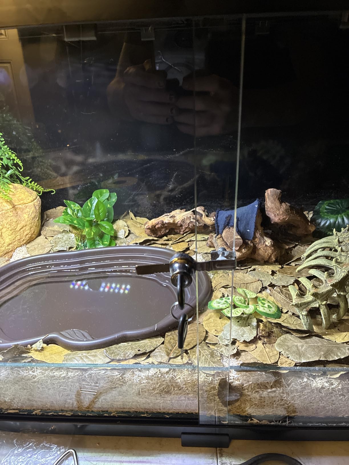 REPTIZOO Large 120 Gallon Reptile Terrarium, Reptile Tank 48