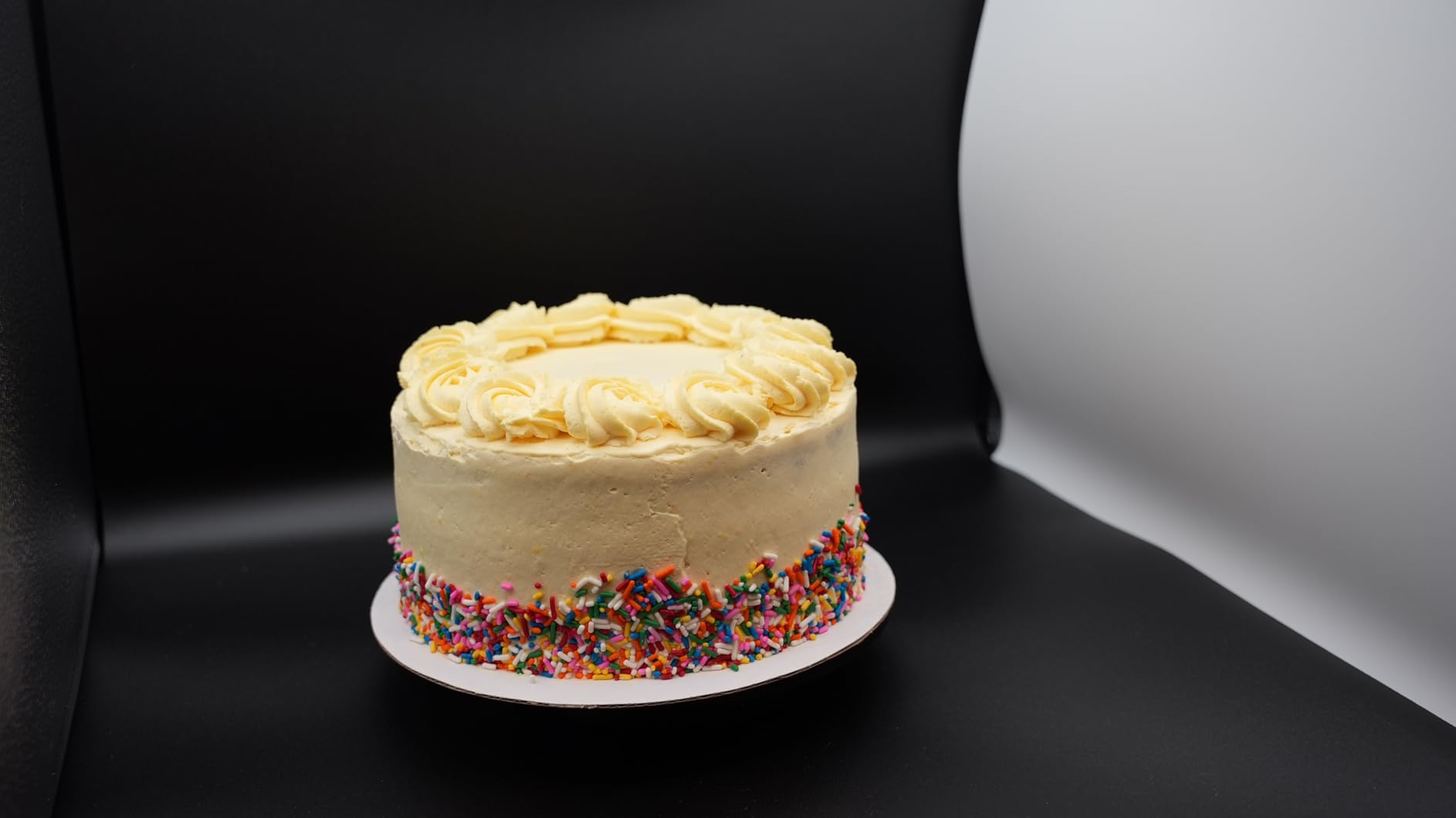 Light Box Photography 24