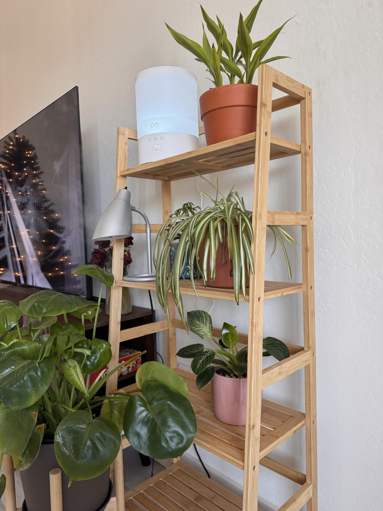 Bamboo Ladder Shelf, 4-Tier Wooden Ladder Bookshelf & Bookcase Organizer customer photo 1