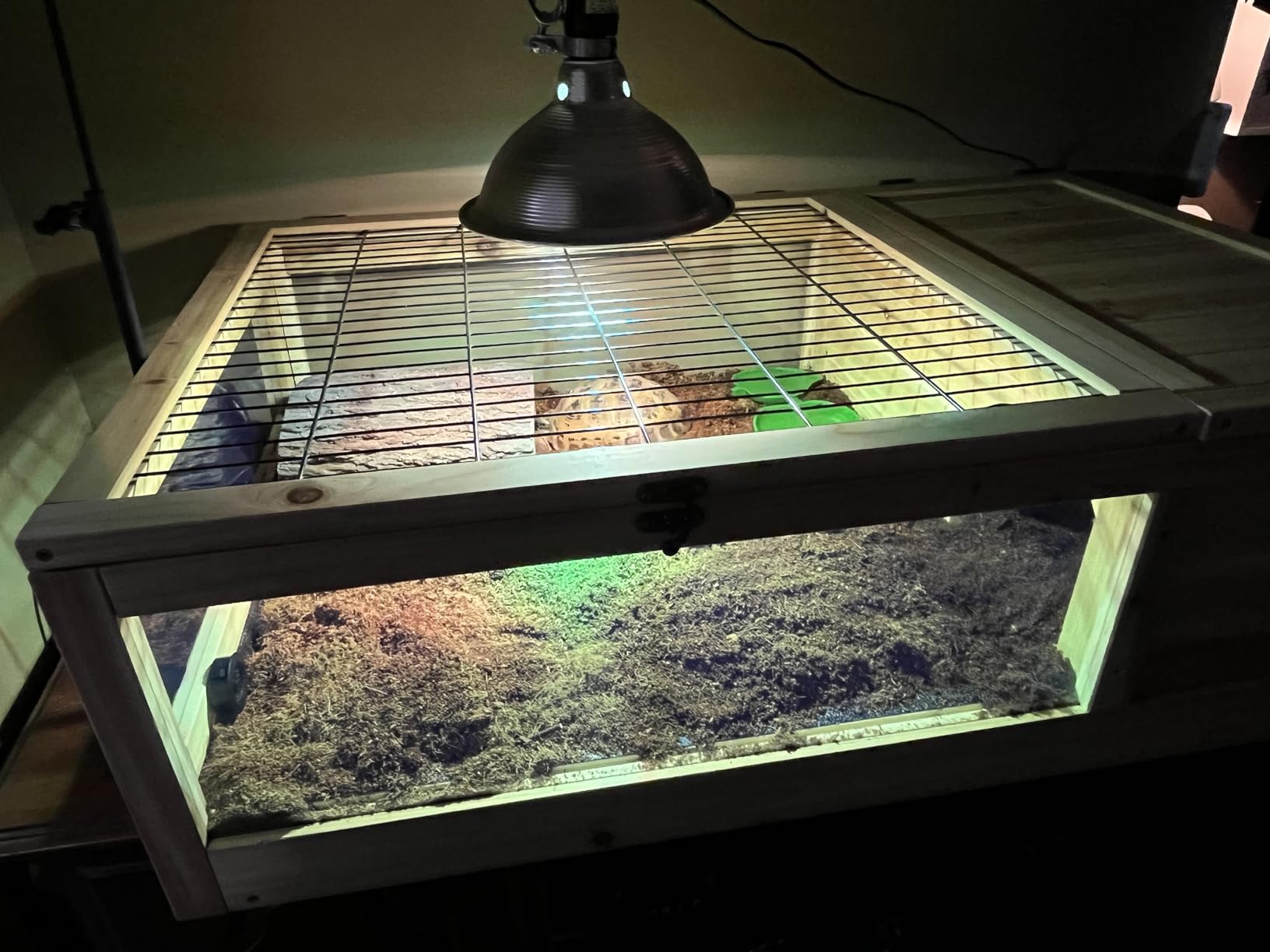 MIXJOY 100W Reptile Heat Lamp Bulb Full Spectrum UVA UVB Sun Light for Reptile and Amphibian Use customer photo 2