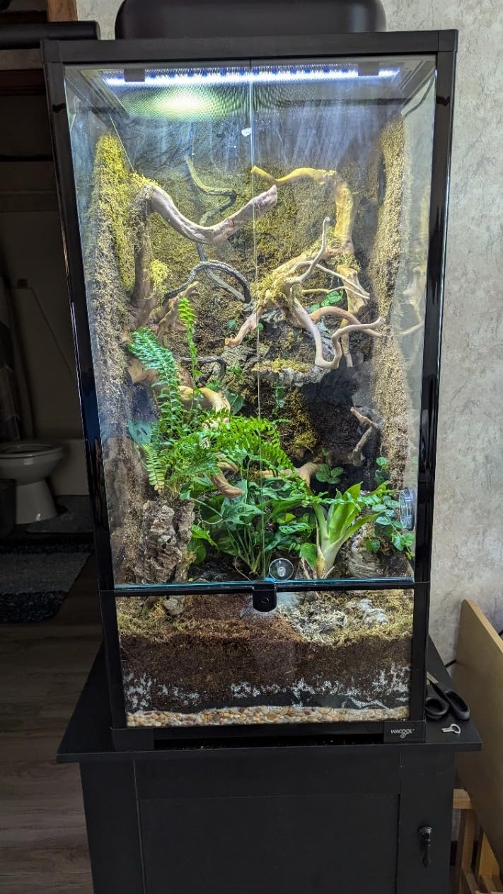 WACOOL Tempered Glass 40 Gallon Reptile Tank, Front Opening Reptile Terrarium 30