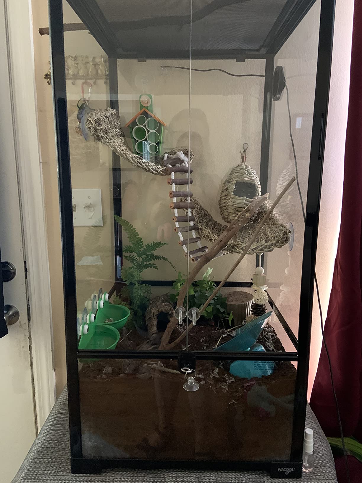 WACOOL Tempered Glass 40 Gallon Reptile Tank, Front Opening Reptile Terrarium 30