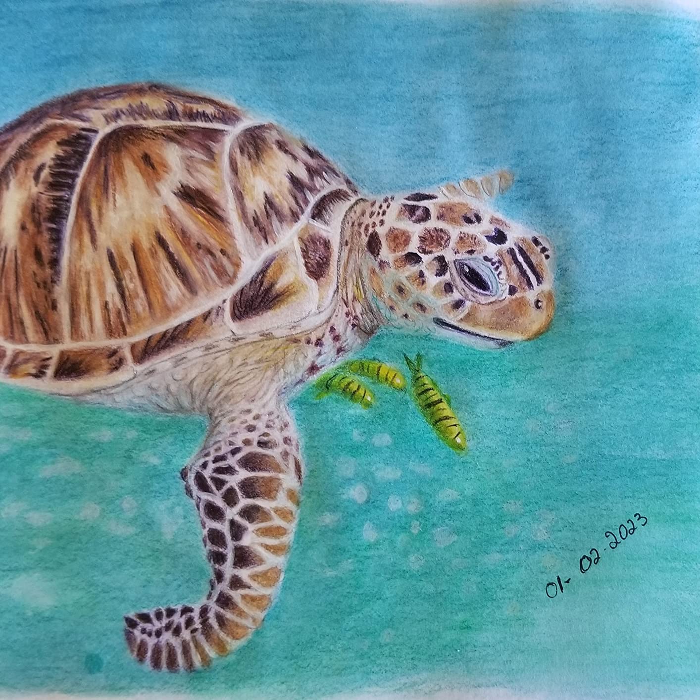 Derwent Lightfast Colored Pencils 100 Tin, Set of 100, 4mm Wide Core, 100% Lightfast, No Fade for 100 Yrs, Oil-based, Premium Core, Creamy, Ideal for Drawing, Coloring, Professional Quality (2306017) customer photo 2
