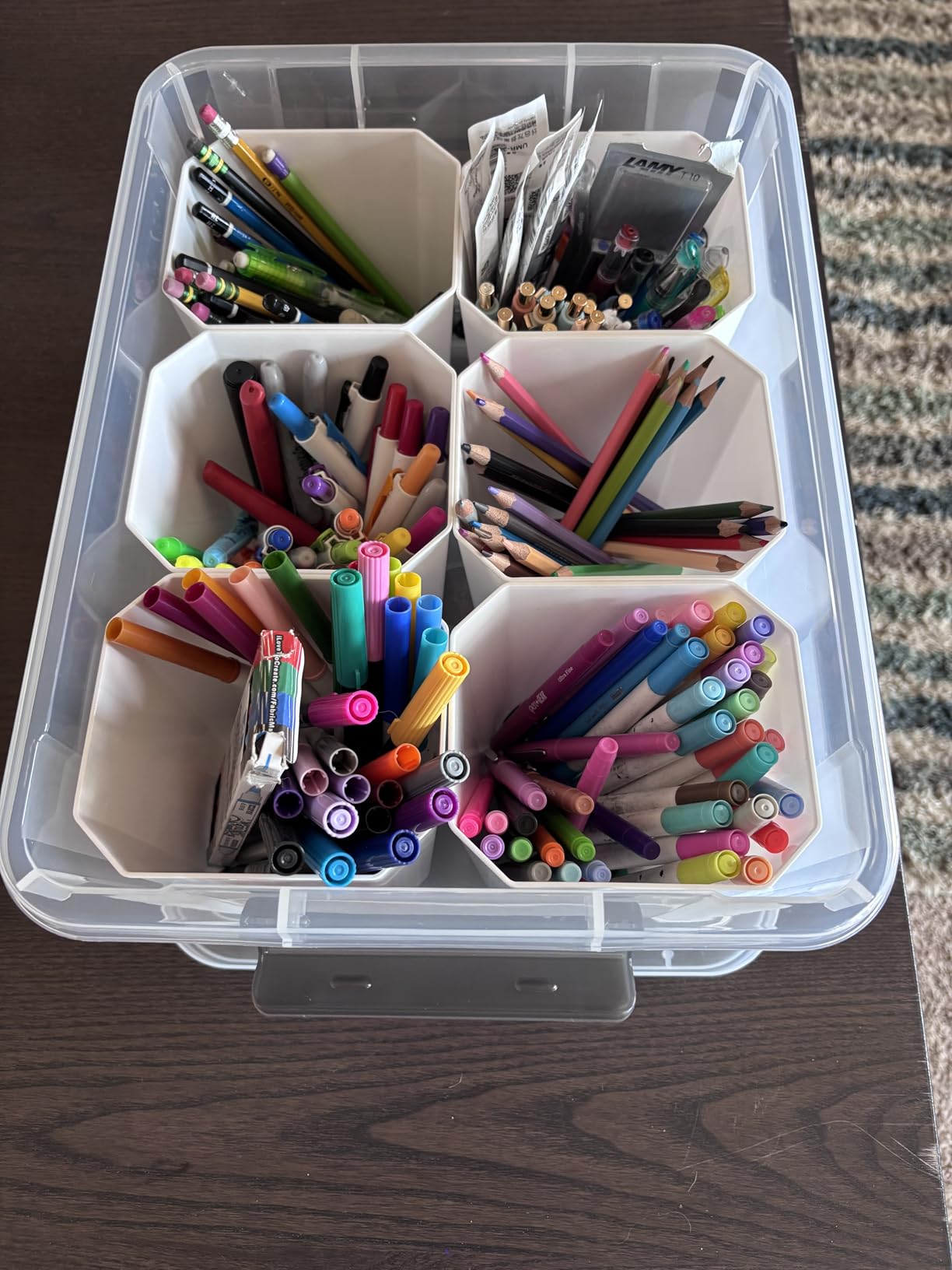 Citylife 17QT Craft Organizers and Storage bins with Lids, Marker Organizer customer photo 1