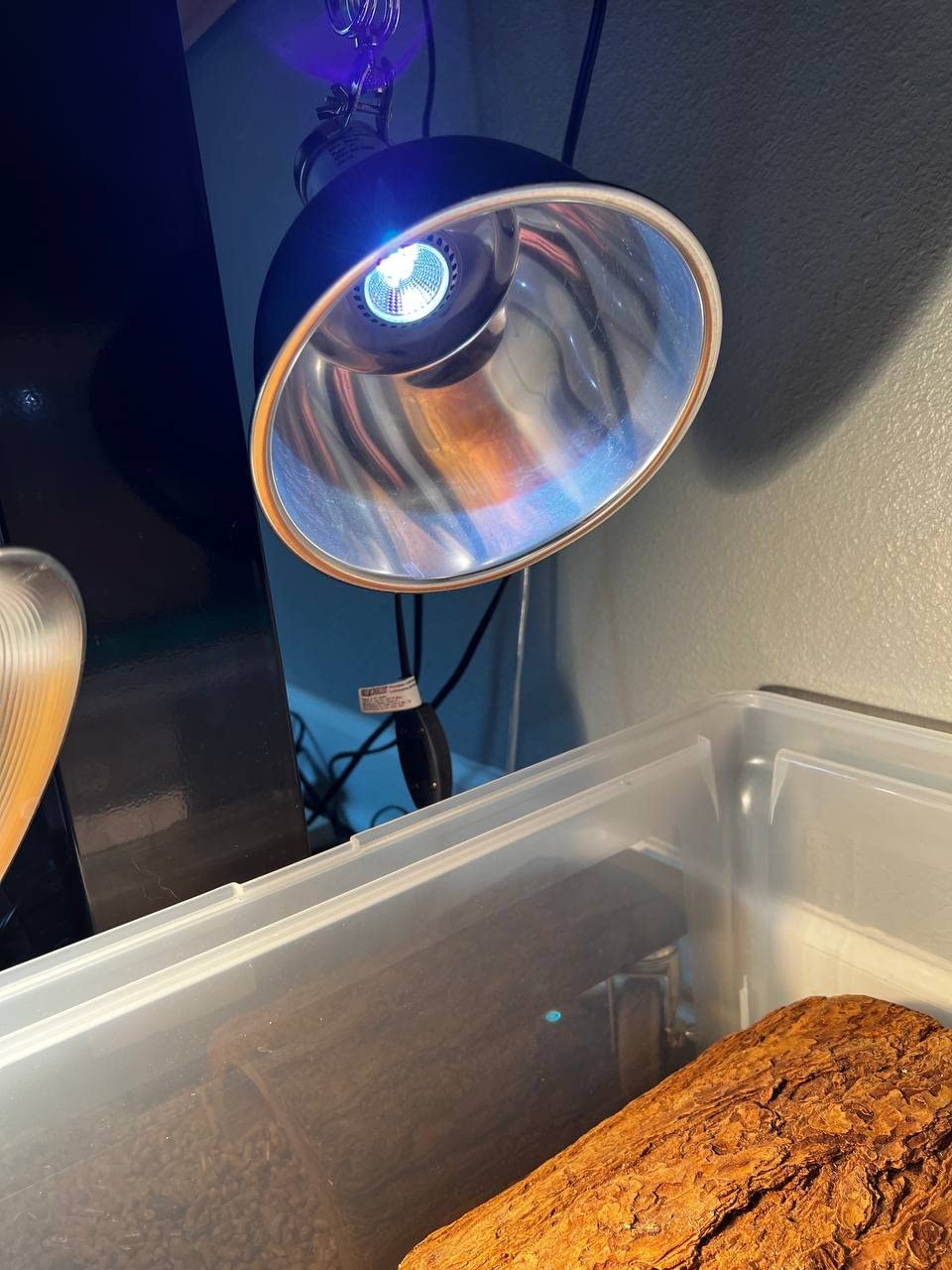 Premium High-Intensity UVB Reptile Light for Optimal Calcium Metabolism,5-Watt 10.0 Desert UVB Light Ideal for Desert-Dwelling Reptiles Bearded Dragons Tortoises customer photo 2