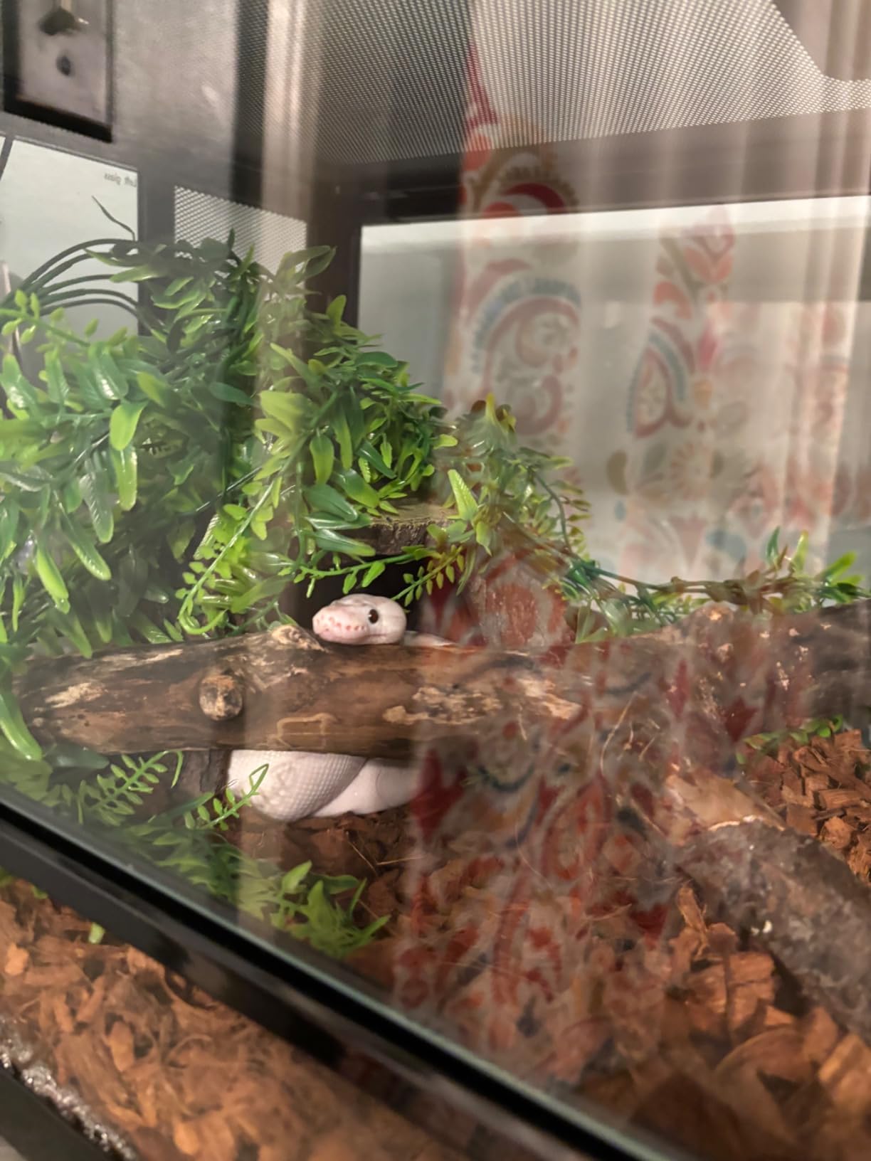 Zilla QuickBuild Reptile 65 Gallon Glass Terrarium, 48