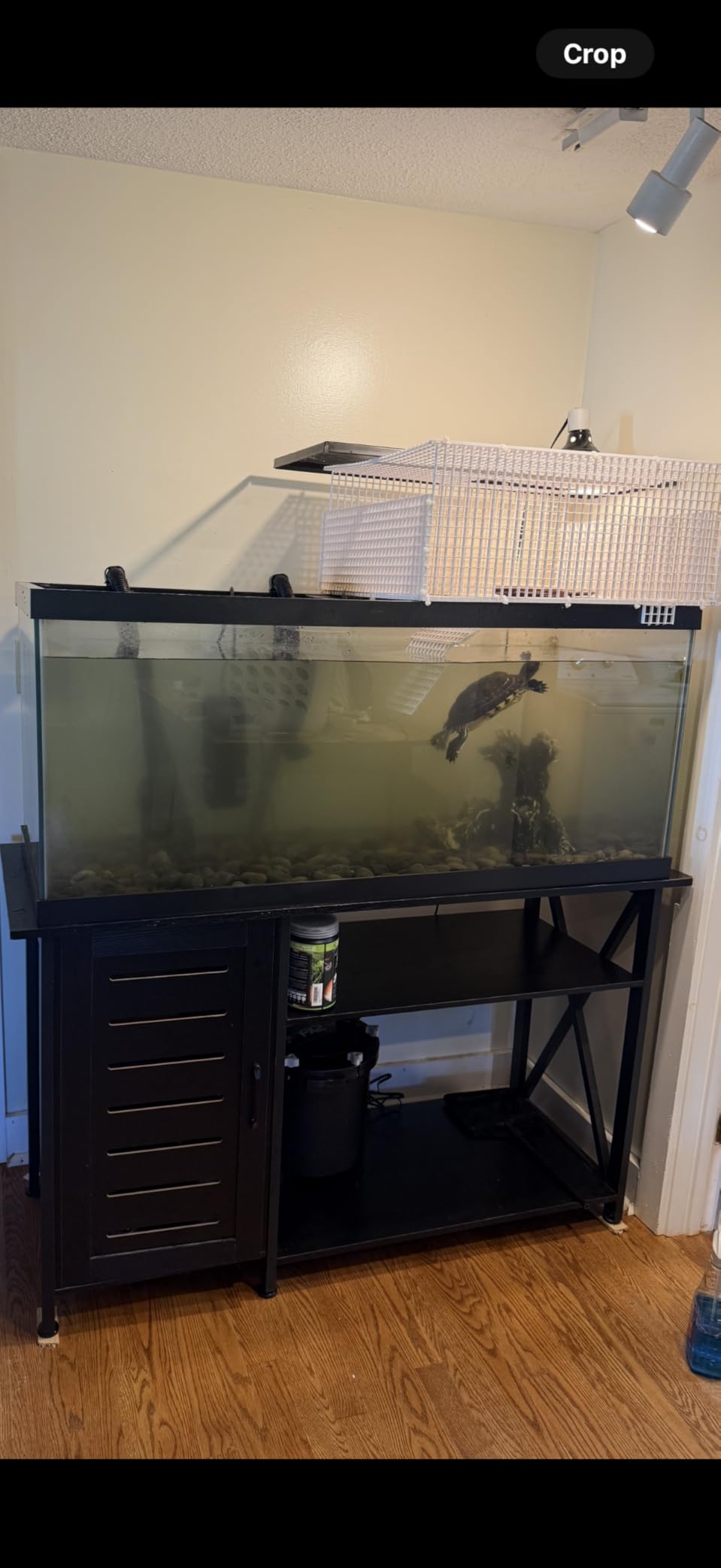 Fluval FX2 High Performance Canister Aquarium Filter customer photo 1