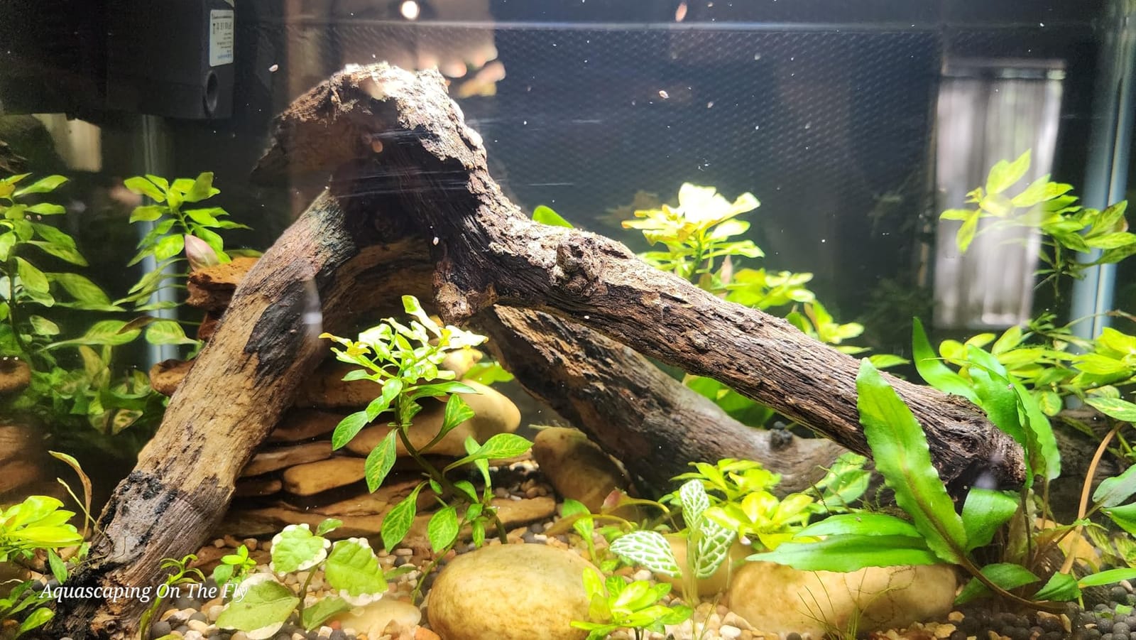 NICREW C10 Plant Aquarium Light, 12-18 in, 9W, Full Spectrum with Timer customer photo 2