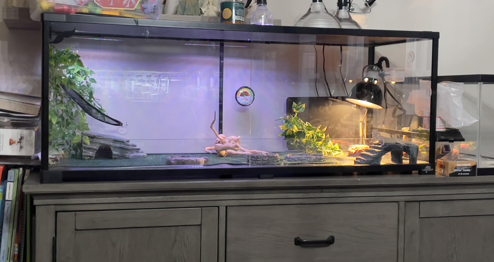34 Gallon Reptile Tank, Glass Reptiles Terrarium 24