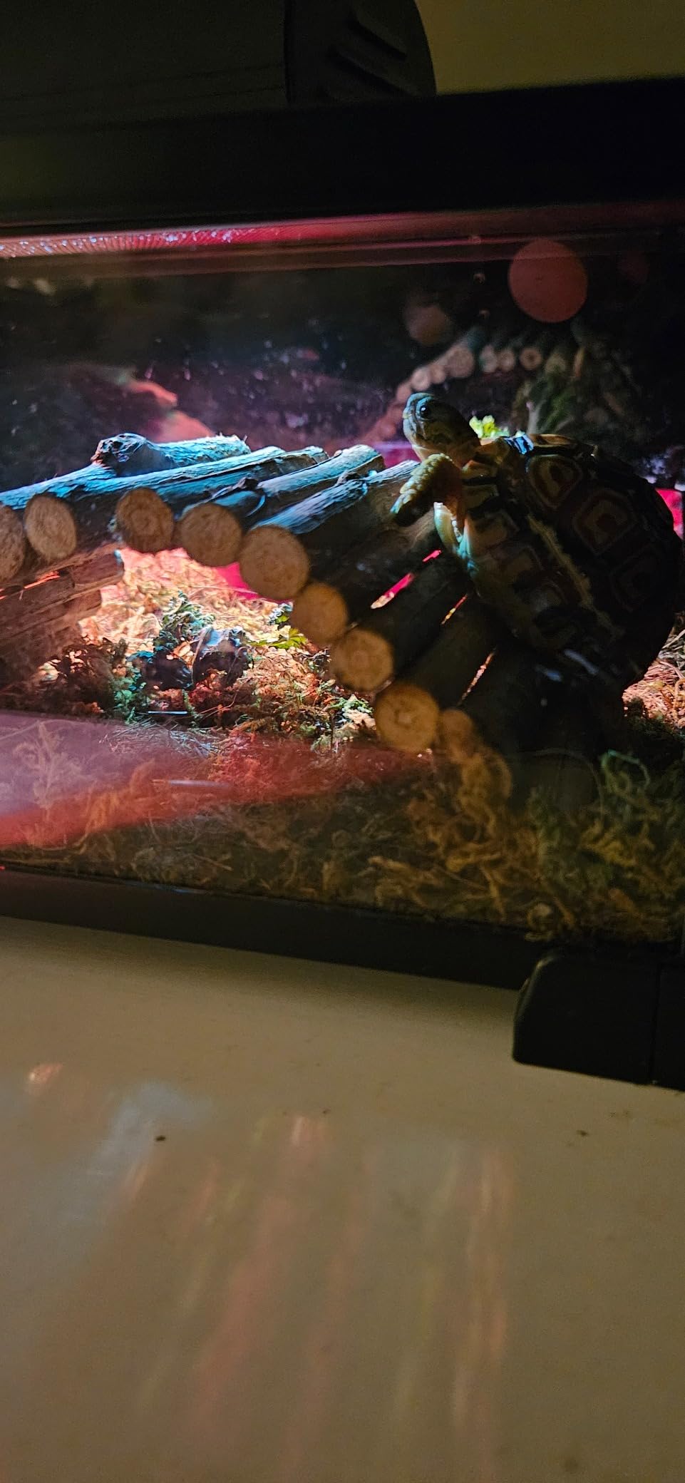 REPTIZOO 90 Gallon Reptile Terrarium 24
