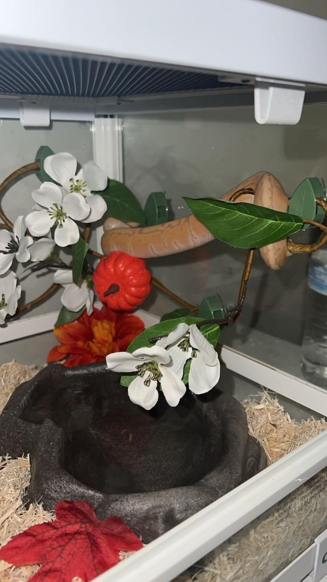 30 Gallon Reptile Tank 18