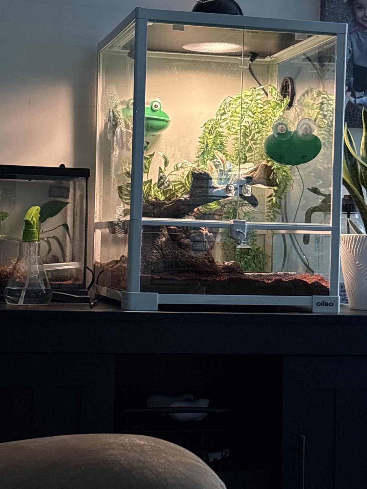 30 Gallon Reptile Tank 18