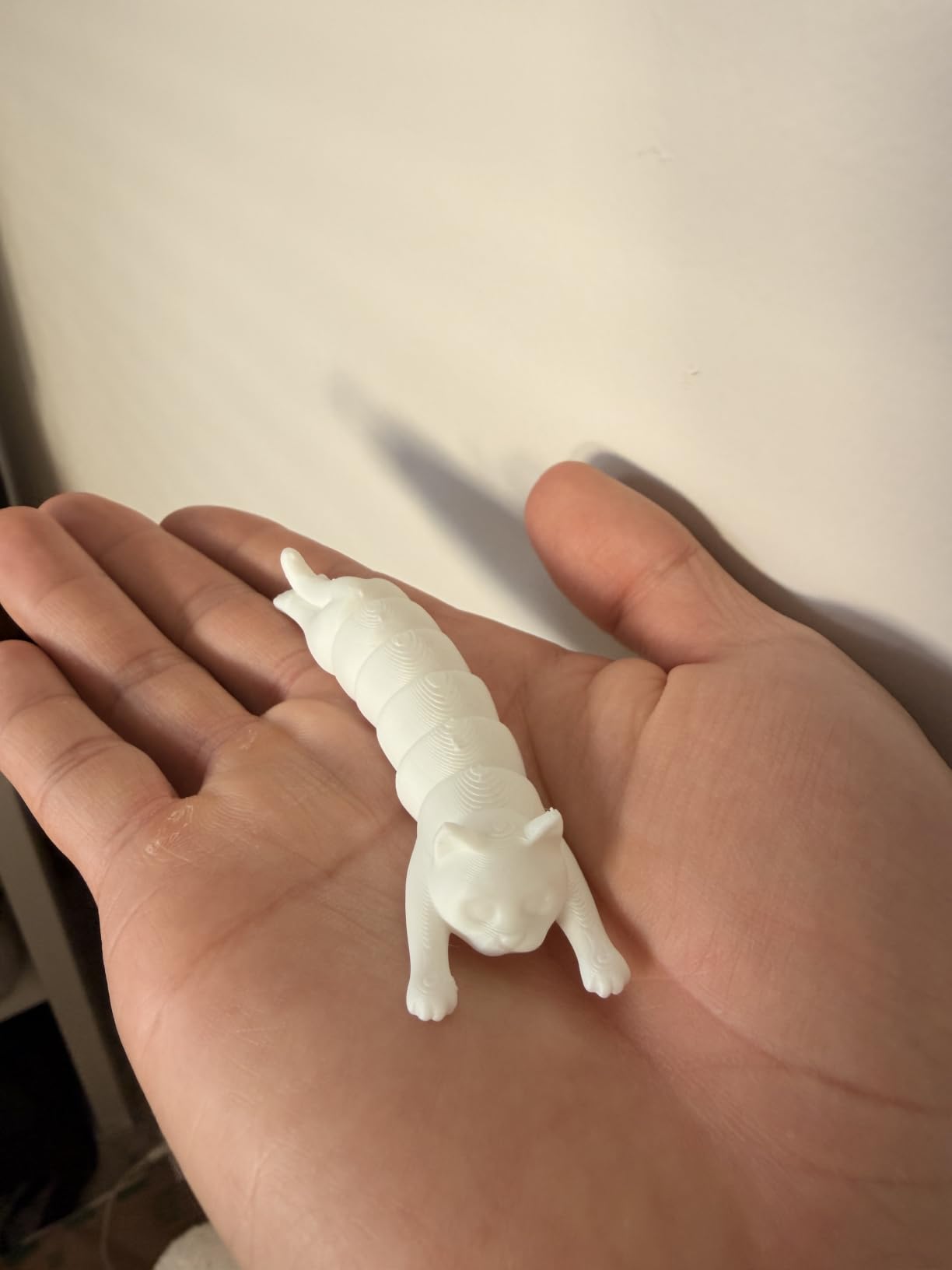 TINA2S Fully Assembled Mini 3D Printer for Kids and Beginners, Starter Kit customer photo 2