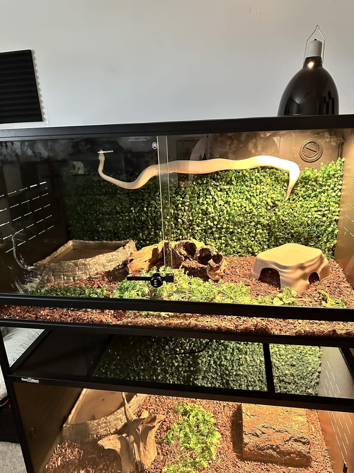 PVC Reptile Enclosure Space Efficient 44''x20''x20'' Stackable ToxiRium Large Reptile Terrarium 76 Gallons for Bearded Dragon Lizard Snake, Breeding Vivarium with Sliding Doors Lock-2pcs with spacers customer photo 1