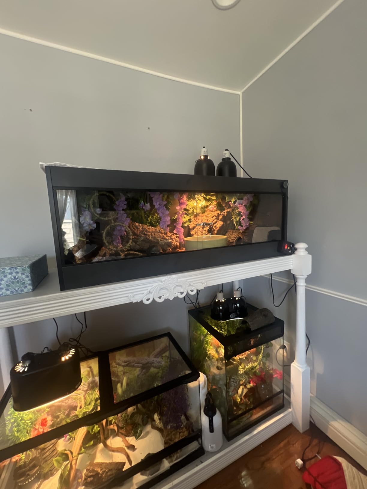 REPTI ZOO 50 Gallon PVC Reptile Enclosure, 36x18x18 inch Reptile Tank for Ball Python Bearded Dragon Snake Gecko, Reptile Terrarium Lounge Habitat with Glass Sliding Door & Top Screen Ventilation customer photo 2
