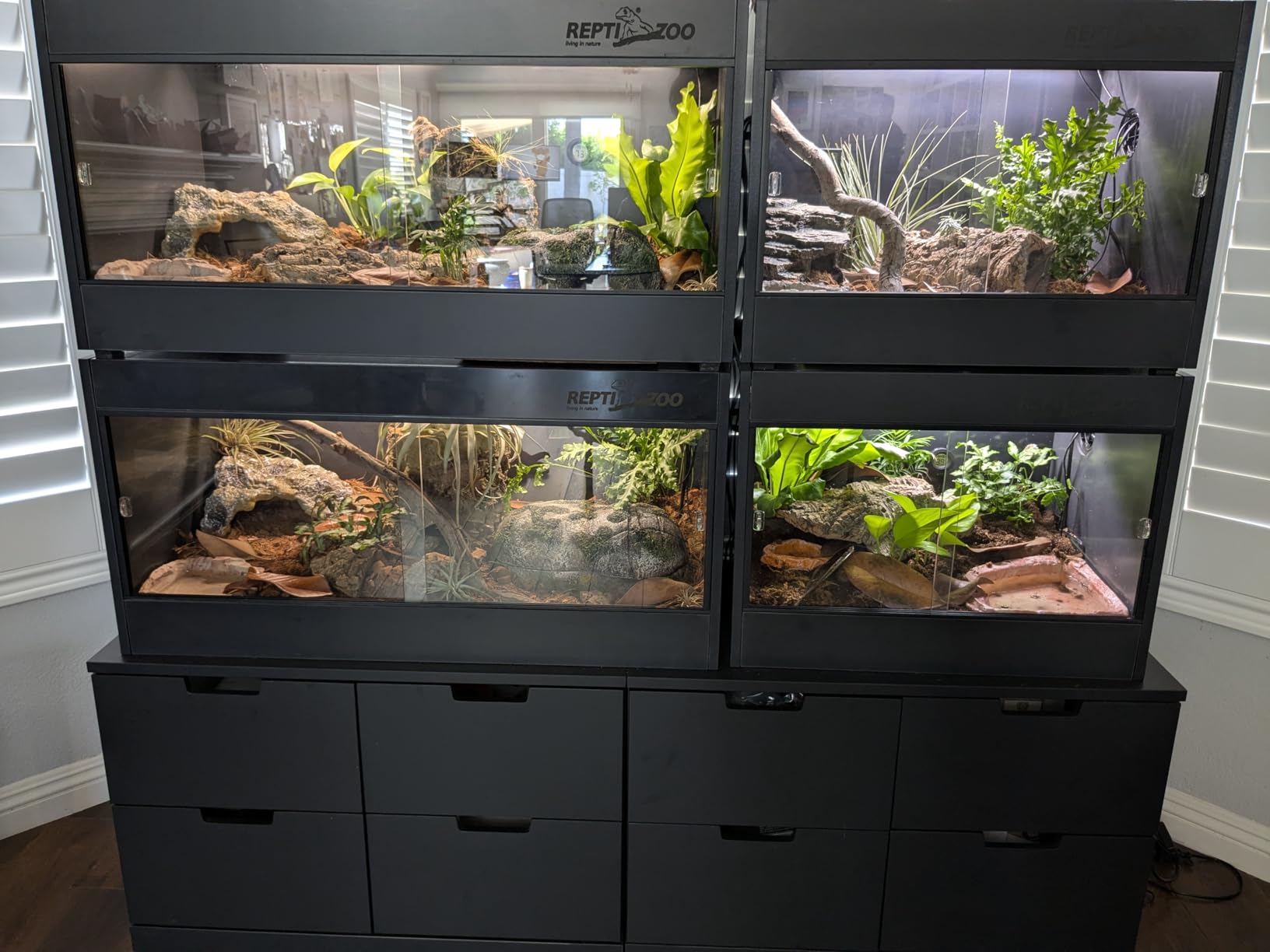 REPTI ZOO 120 Gallon PVC Reptile Tank Terrarium, 48x24x24 Reptile Terrarium for Ball Python Snake Bearded Dragon Gecko, Large Reptile Glass Tank with Sliding Door & Screen Ventilation customer photo 2