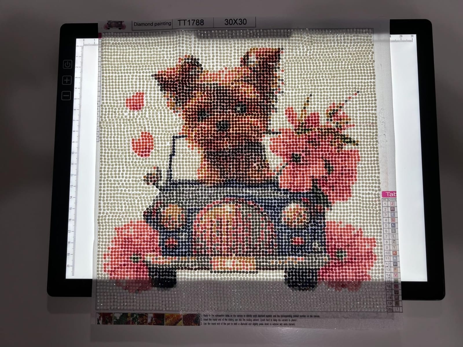 Rechargeable A4 Light Pad - Stepless Dimmable 6 Levels Brightness Tracing Light Box, Diamond Painting Light Board with Top Clip, Battery Powered Portable Light Pad for Weeding Vinyl Tracing customer photo 1