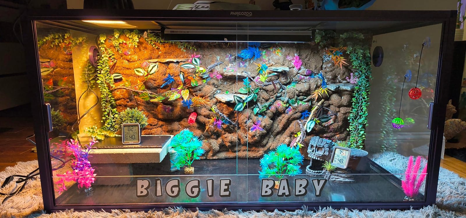 Phailozoo 120 Gallon Reptile Tank, Stackable 4x2x2 Reptile Enclosure customer photo 2