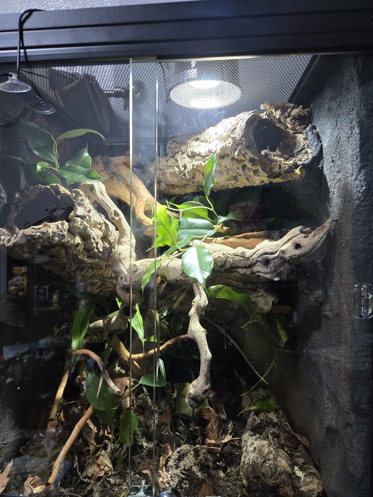 REPTI ZOO 67 Gallon PVC Tall Reptile Tank, 24 x18x36 inch Large Reptile Terrarium for Gecko Lizard Chameleon Frog Snake, Enclosure Habitat with Sliding Door & Top Screen Ventilation customer photo 1