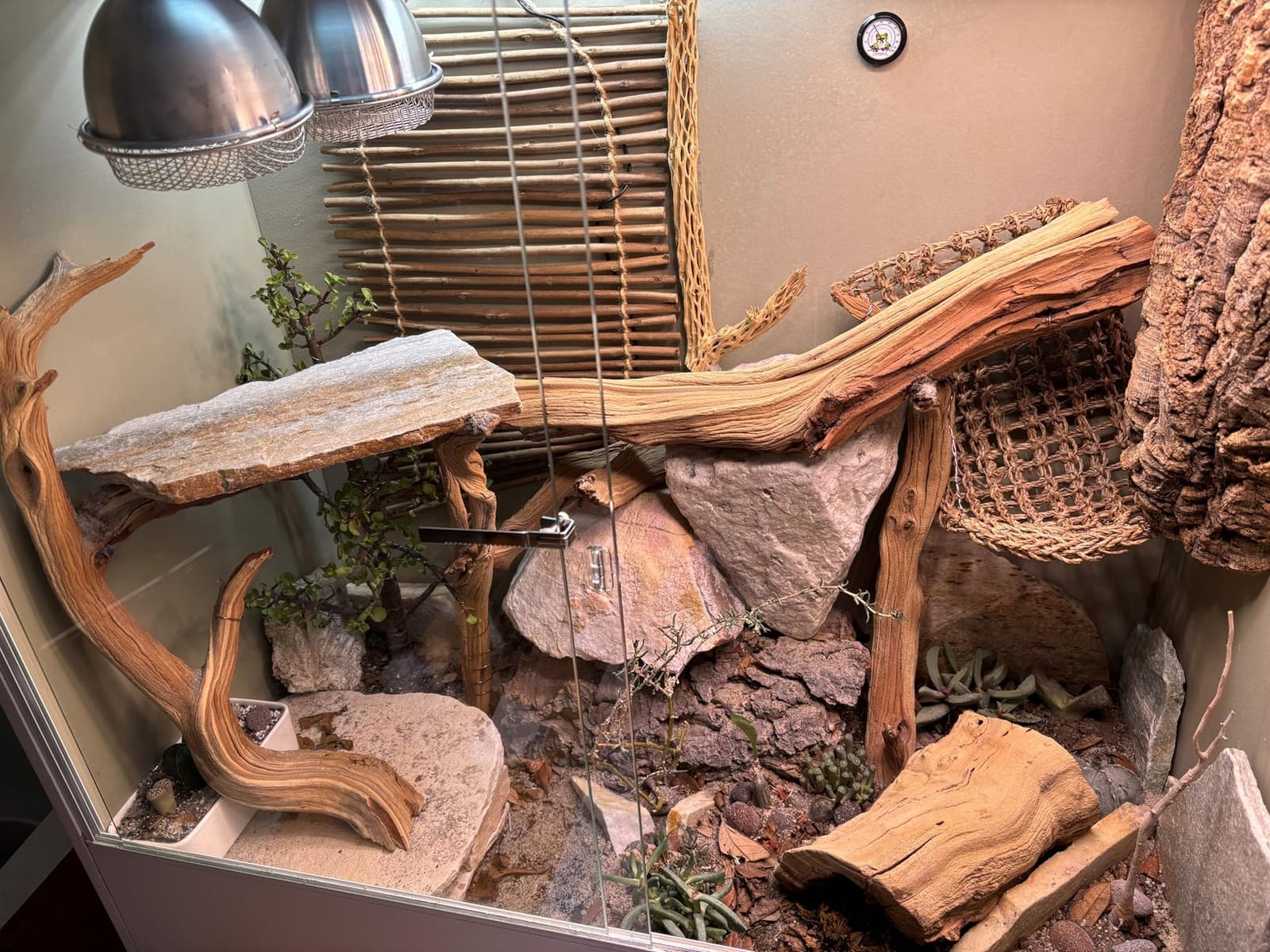 REPTI ZOO 67 Gallon PVC Tall Reptile Tank, 24 x18x36 inch Large Reptile Terrarium for Gecko Lizard Chameleon Frog Snake, Enclosure Habitat with Sliding Door & Top Screen Ventilation customer photo 2