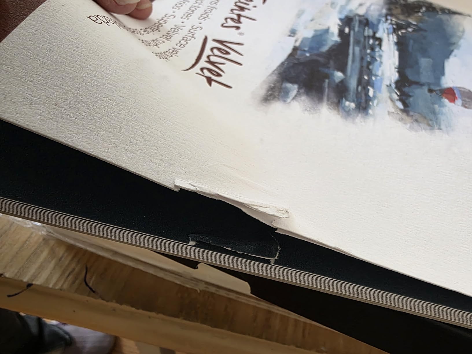 Canson Mi-Teintes Velvet Pastel Paper Pad, Cool Tones, 9.4x12.6 in customer photo 2