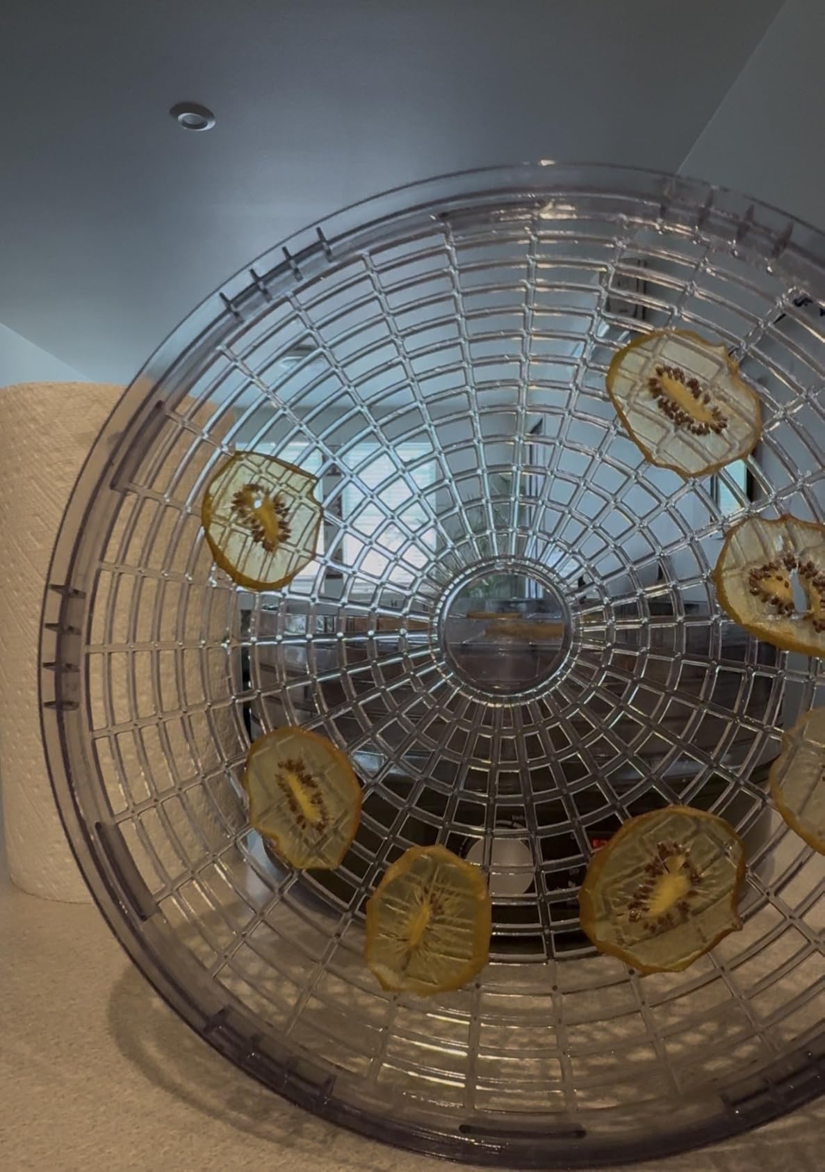 Nutrichef Food Dehydrator Machine | Multi-Tier Appliance for Home Use | Perfect for Beef Jerky, Fruits, Vegetables & Dog Treats | High-Heat Circulation | 5 Stackable Trays customer photo 2