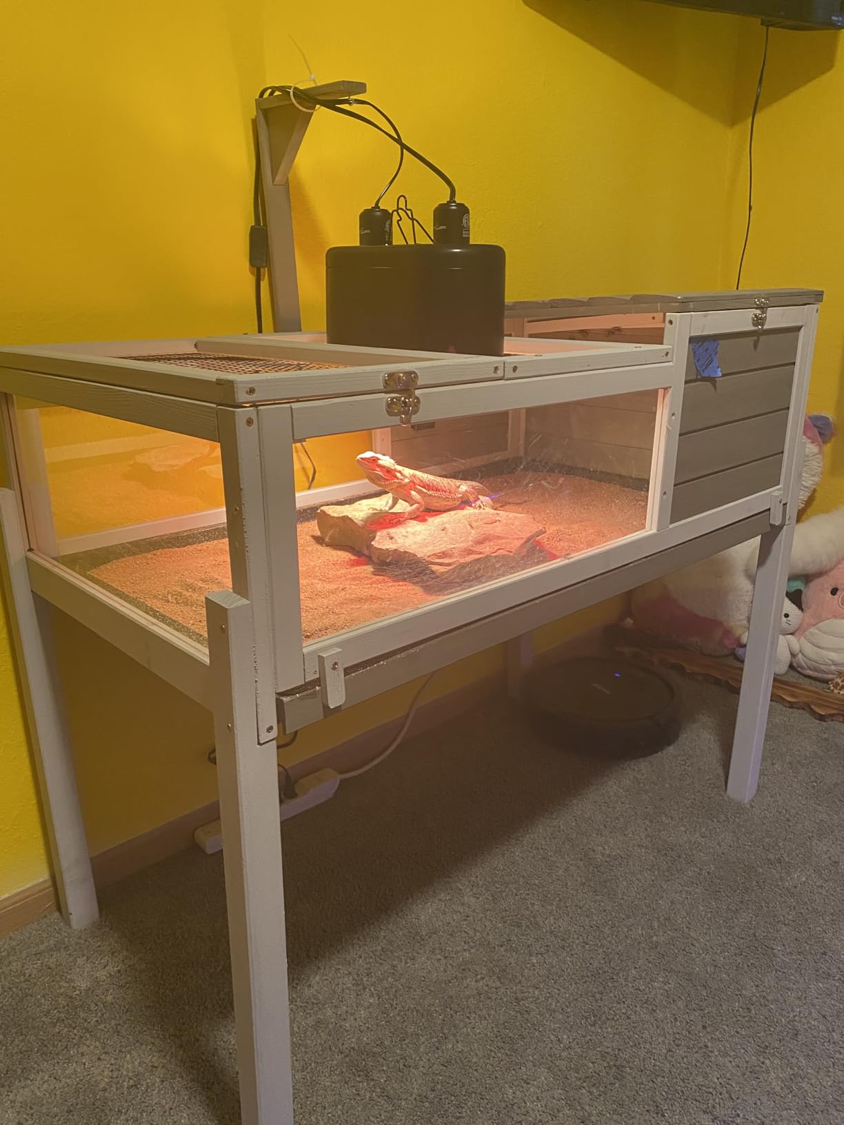 PetsCosset Tortoise Habitat with Detachable Legs, Wooden Indoor & Outdoor Turtle Enclosure, Two-Room Reptile House, Large Observation Windows, Removable Pull-Out Tray, for Tortoises customer photo 2