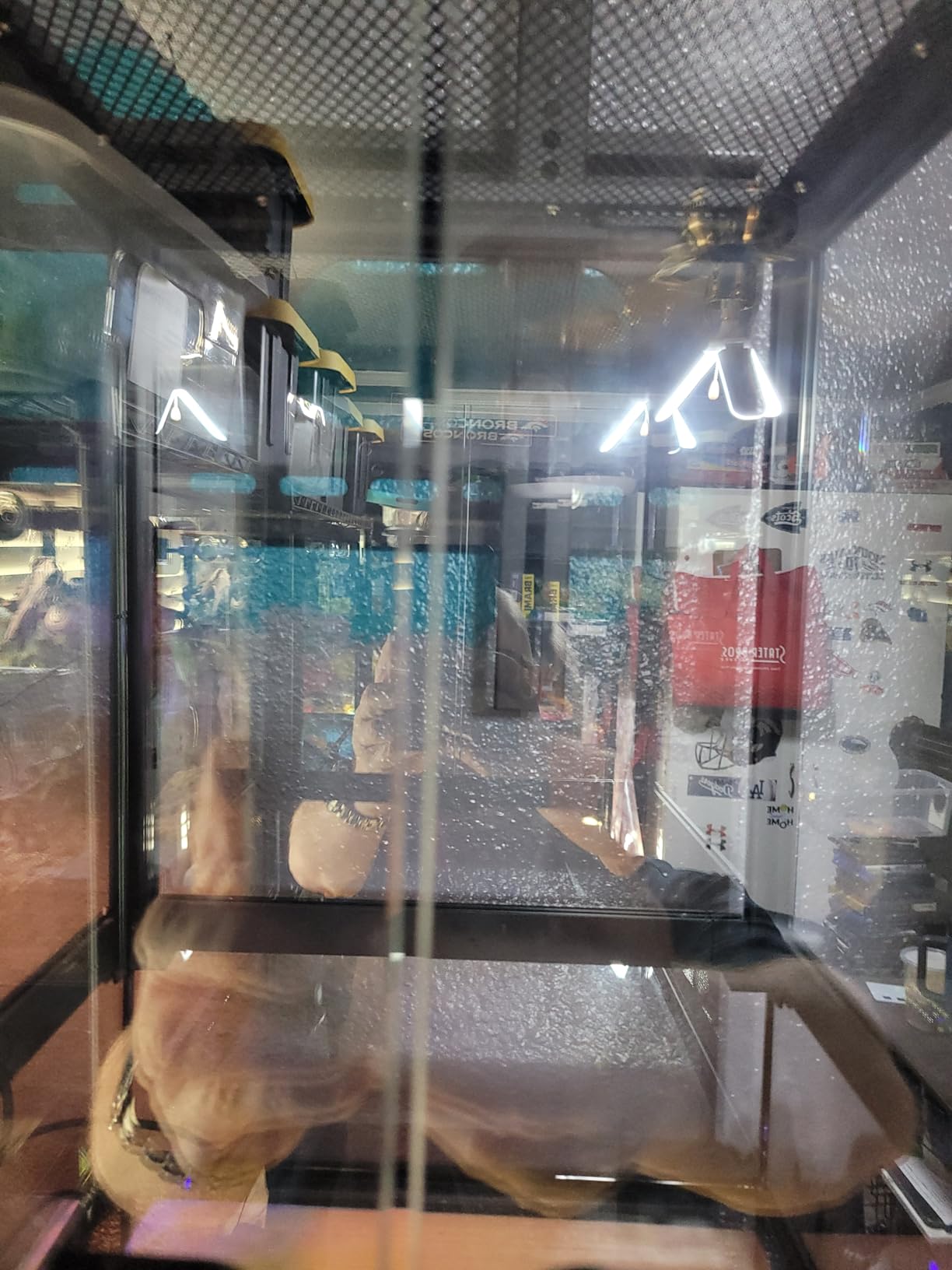 18x12x12'' Front-Opening Glass Reptile Tank for Gecko & Snake customer photo 1