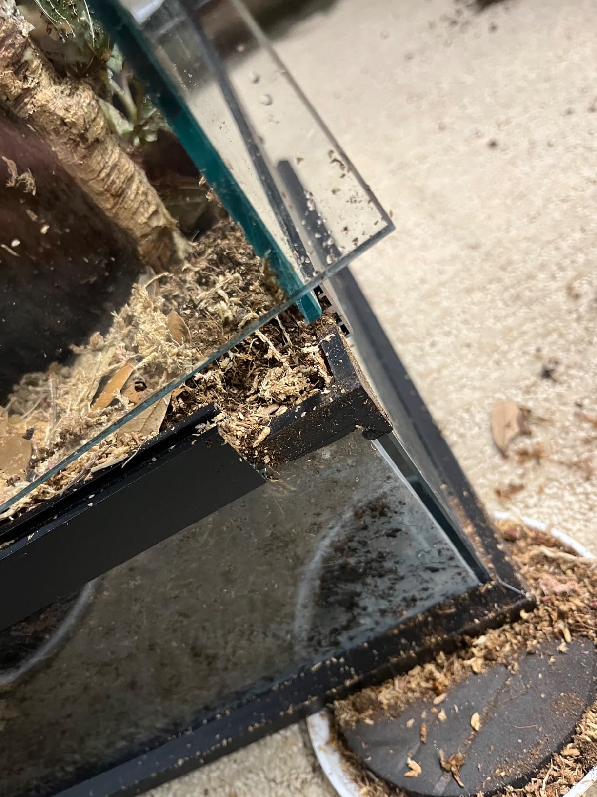 18x12x12'' Front-Opening Glass Reptile Tank for Gecko & Snake customer photo 2