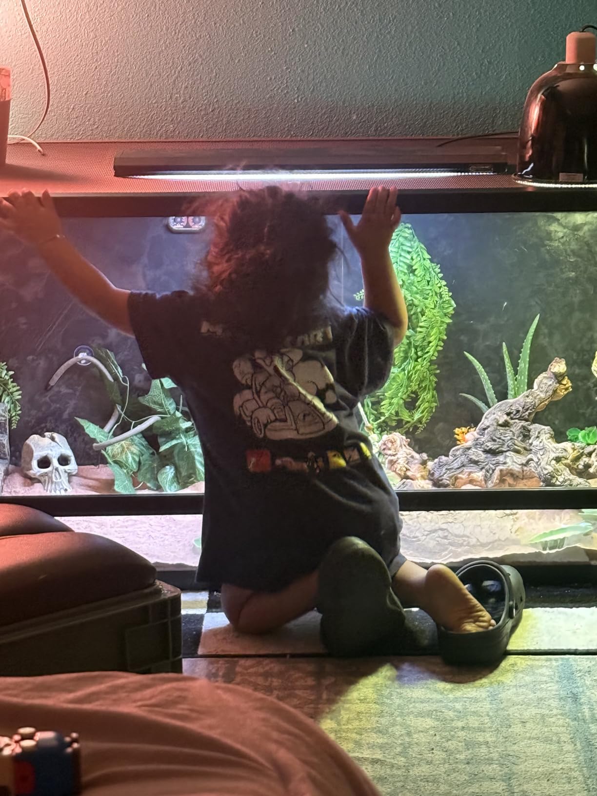 Reptile Habitats 5x2x2 (150 Gallon) Reptile Enclosure V3, Features PVC Panels, Glass Doors, Lightweight, Easy to Assemble, Heavy Duty Screen, Aluminum Frame customer photo 2