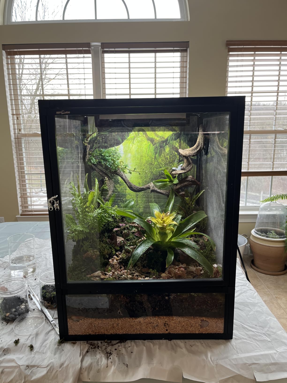 REPTI ZOO 18