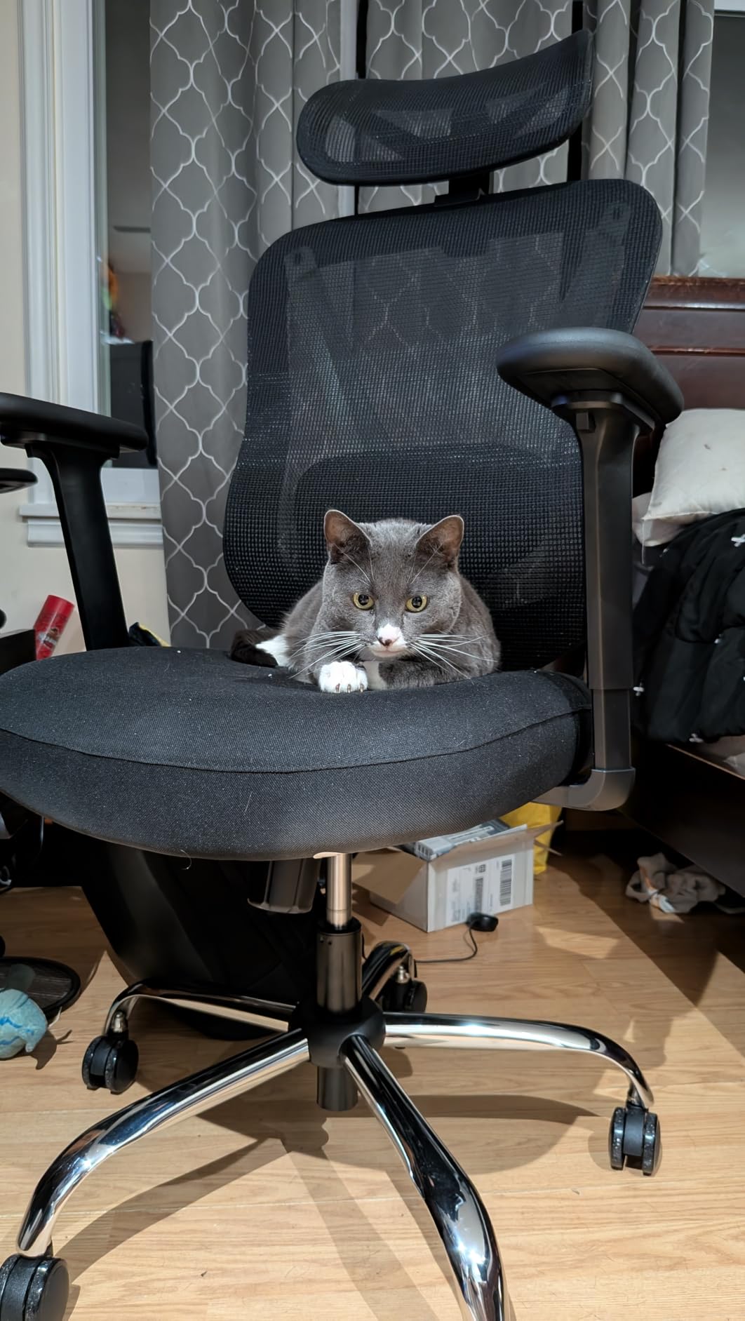 HOLLUDLE Ergonomic Mesh Office Chair - 3D Adjustable Lumbar Support & 3D Armrests, V-Shaped Back, Adjustable Desk Chair for Office & Home, White customer photo 1