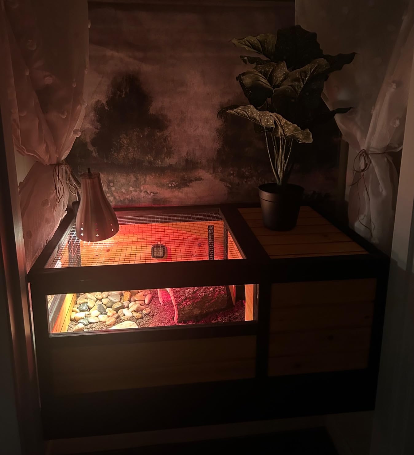 VEVOR Tortoise Habitat, Cedar Wooden Tortoise House Indoor & Outdoor, Tortoise Enclosure with Light Stand, Reptile Enclosure Small Animal Cage with Stand Legs for Gecko, Lizard, Snake customer photo 2