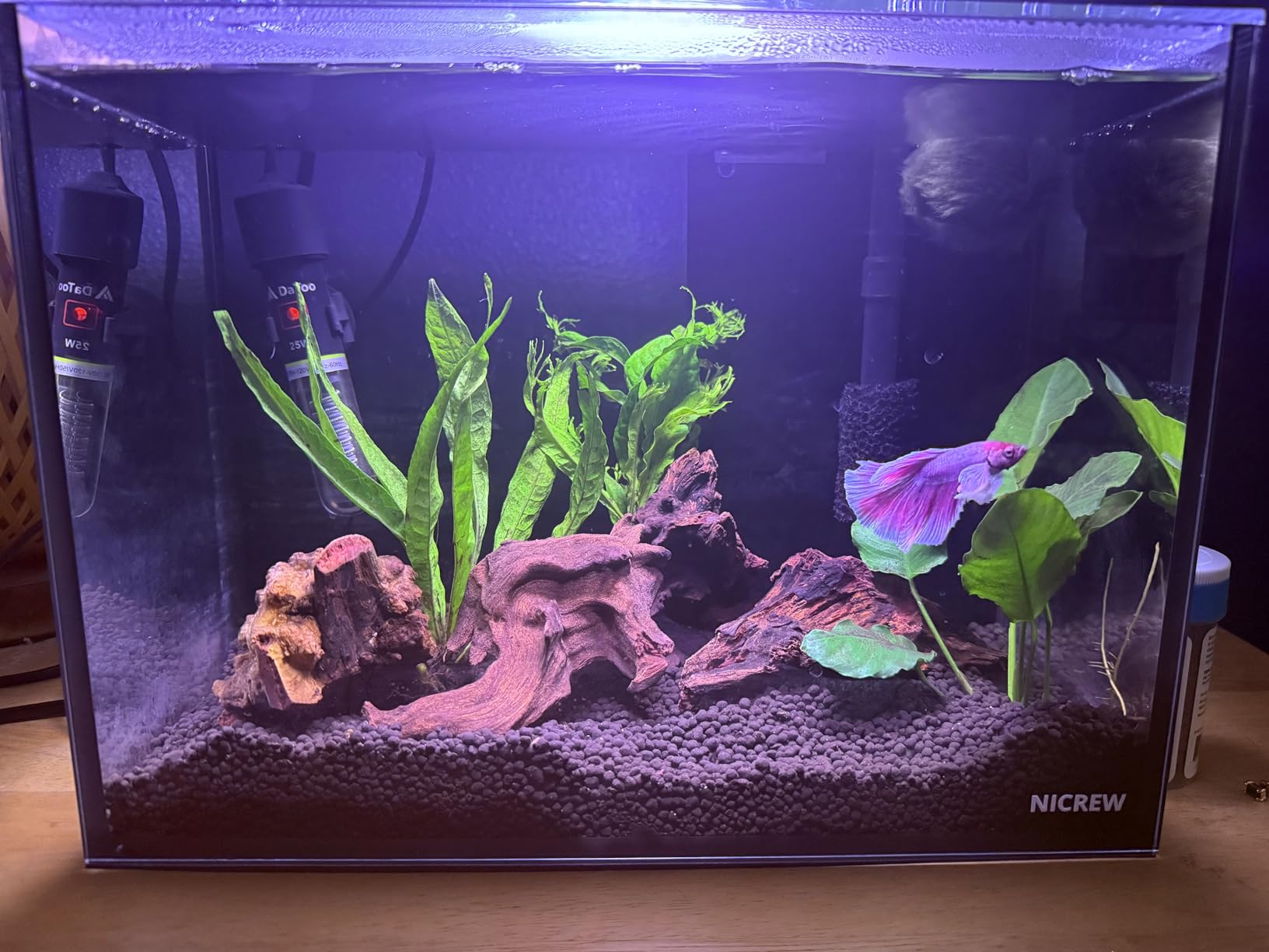 NICREW 2.5 Gallon Nano Nature Aquarium Kit Betta Fish Tank, Complete, Black customer photo 2