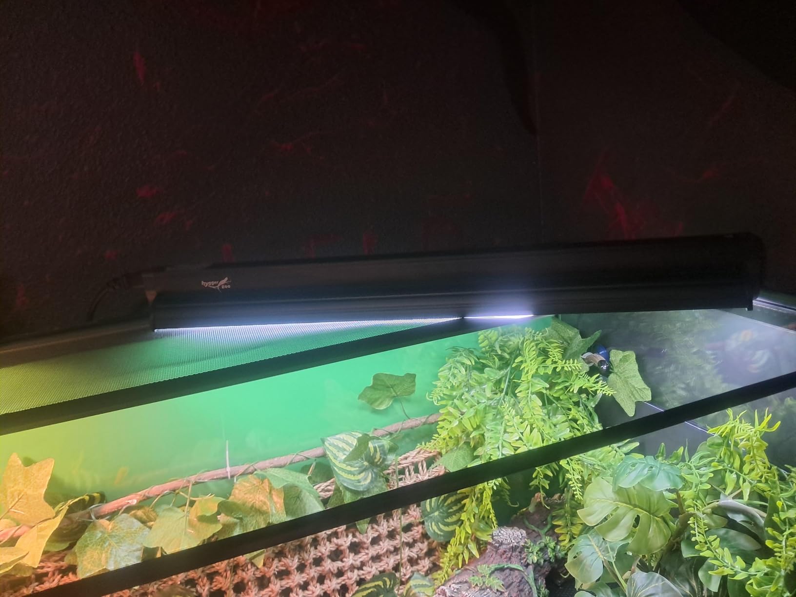 T5 UVB Reptile Light Fixture HO UVB Bulb Lighting Combo Kit, 10.0 UVB Light for Reptiles Terrarium Hood with 24W Reptile Light Bar UVA UVB Desert Lamp for Bearded Dragon Turtle Tank, 22Inch customer photo 2