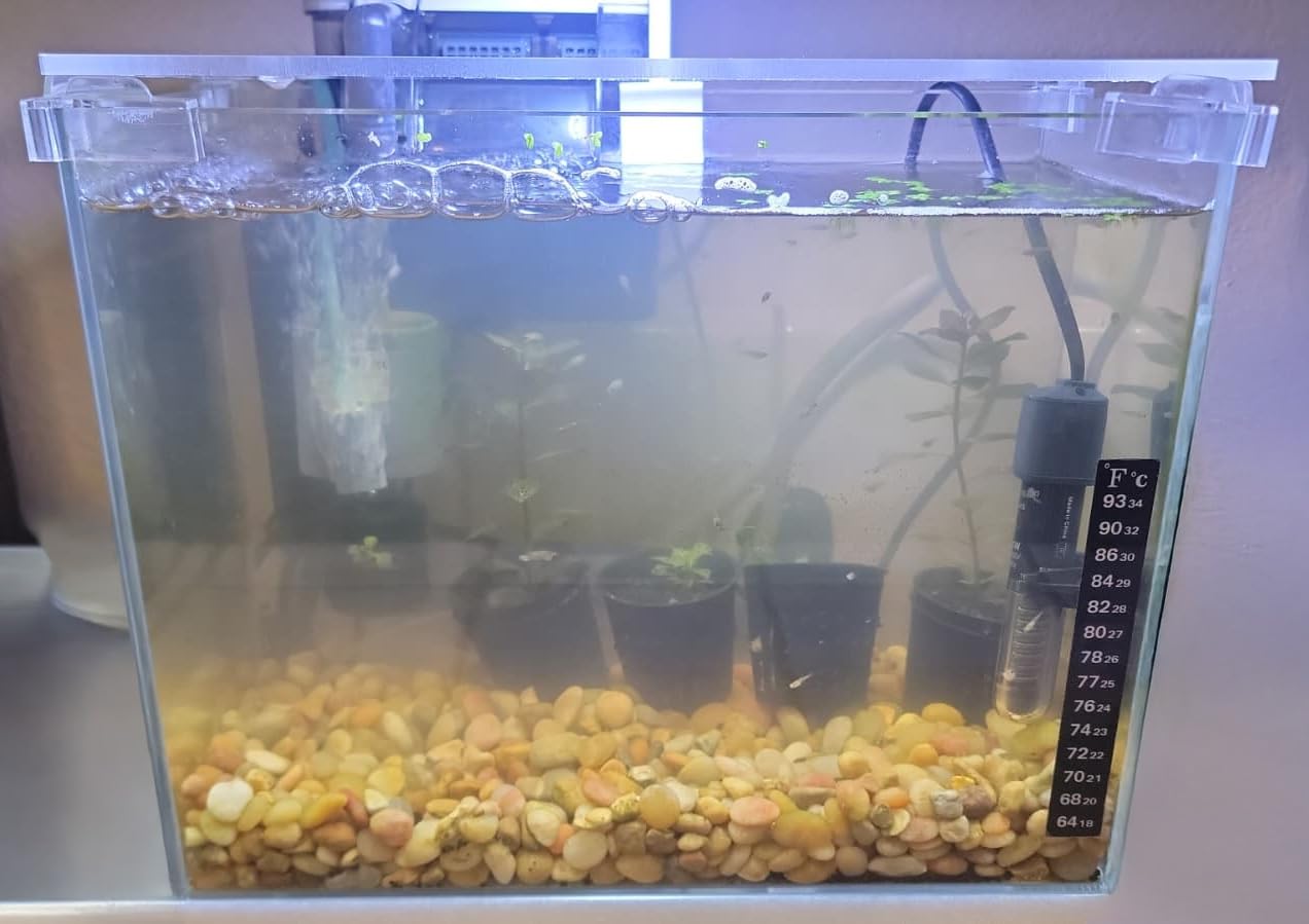 Vimvins 10 Gallon Glass Small Fish Tank with Filter Light and Lid, Aquarium Starter Kit customer photo 1