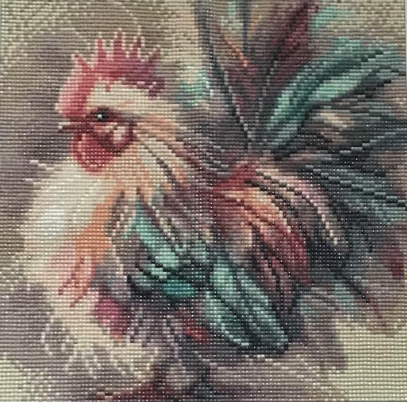 Acelii Colorful Rooster 5D Diamond Painting Kits for Adults Beginners customer photo 2