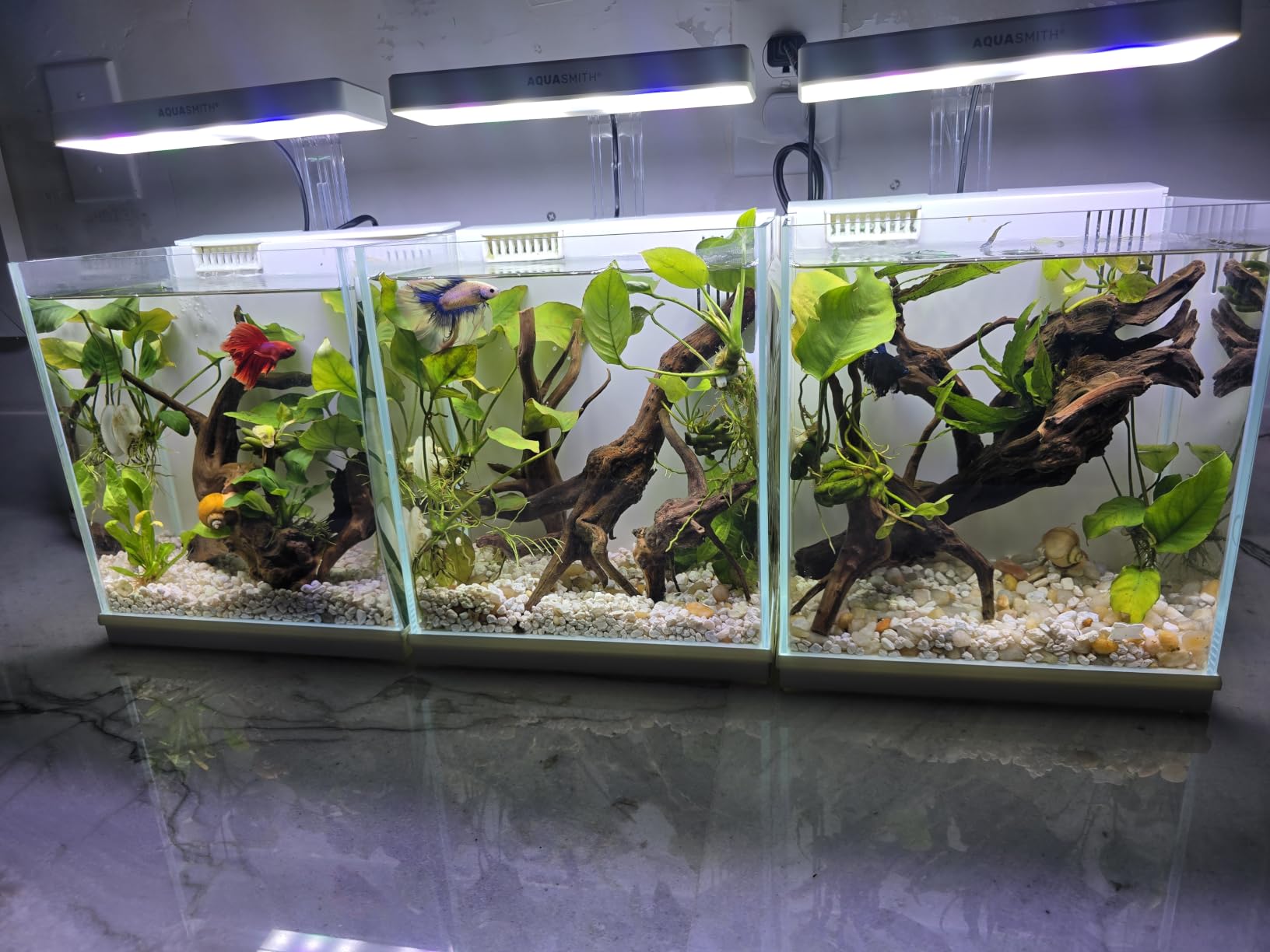 AQUASMITH 2-Gallon All-in-One Fish Tank – Silent Pump, 3-Stage Filtration & Easy Water Change, Perfect Self-Care Betta Aquarium Kit for Kids & Beginners (White customer photo 2