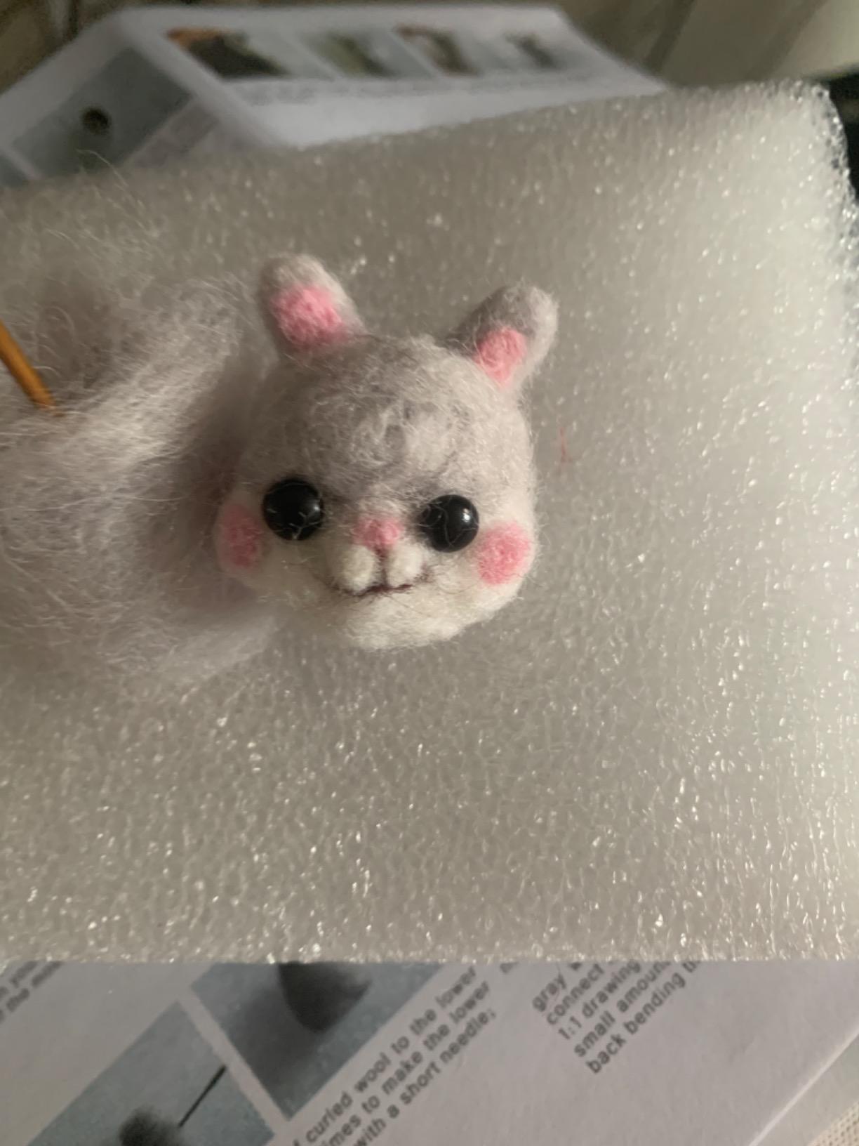 Mayboos 6 Pcs Needle Felting Kit, Felting Kits for Beginners (Cute Cat) customer photo 2