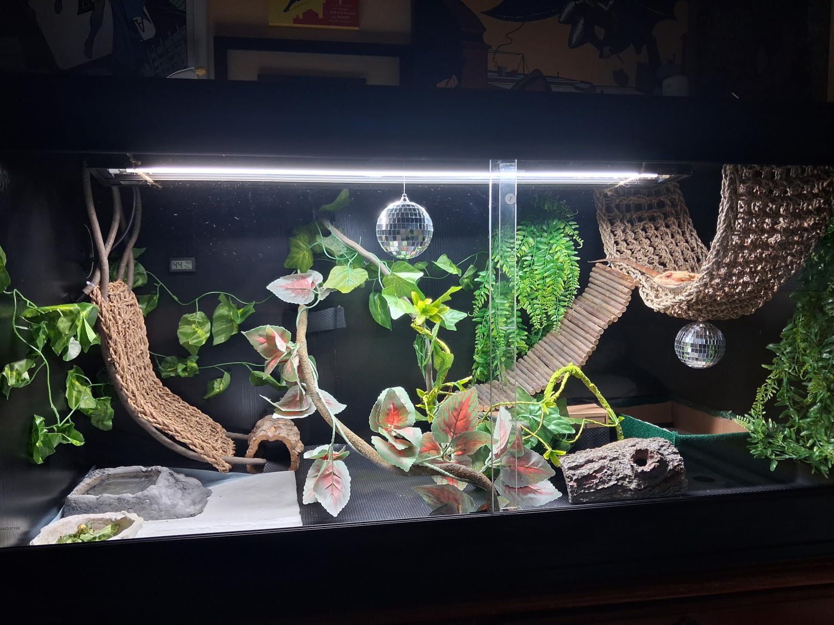 unipaws 110 Gallon Reptile Tank for Lizards, Bearded Dragon Enclosure Cage customer photo 1