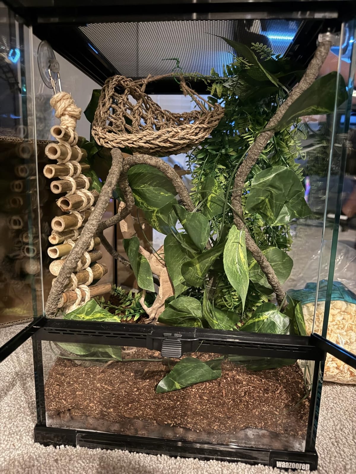 30 Gallon Tall Reptile Glass Tank Terrarium 18