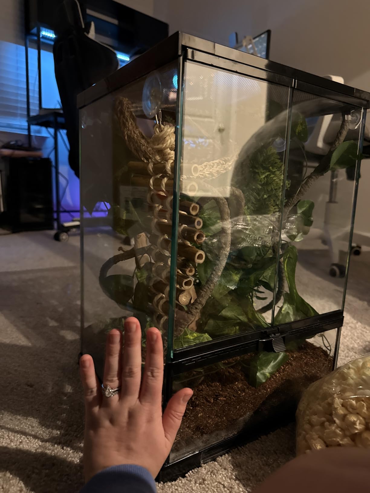 30 Gallon Tall Reptile Glass Tank Terrarium 18