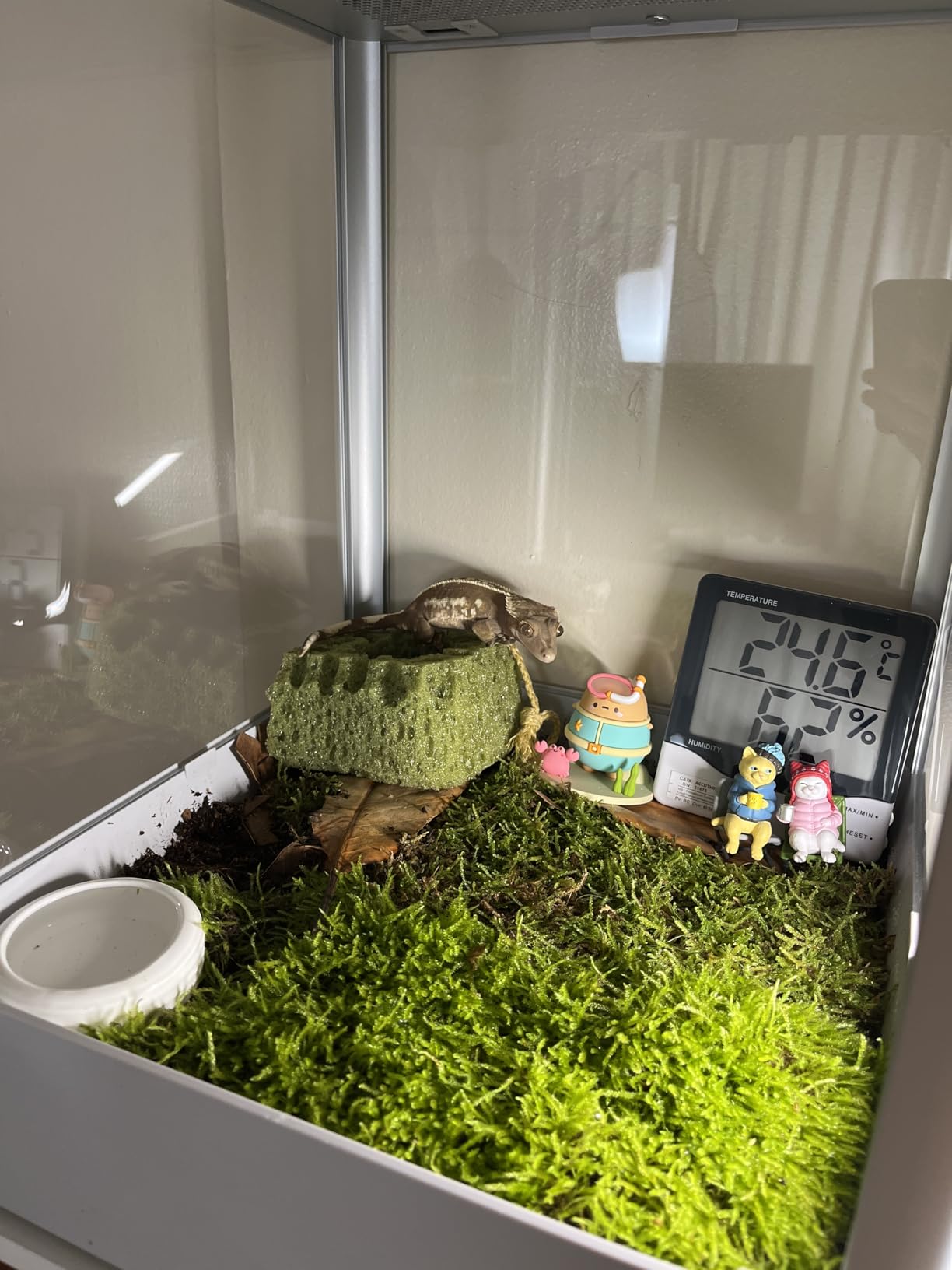 Reptile Terrarium 18