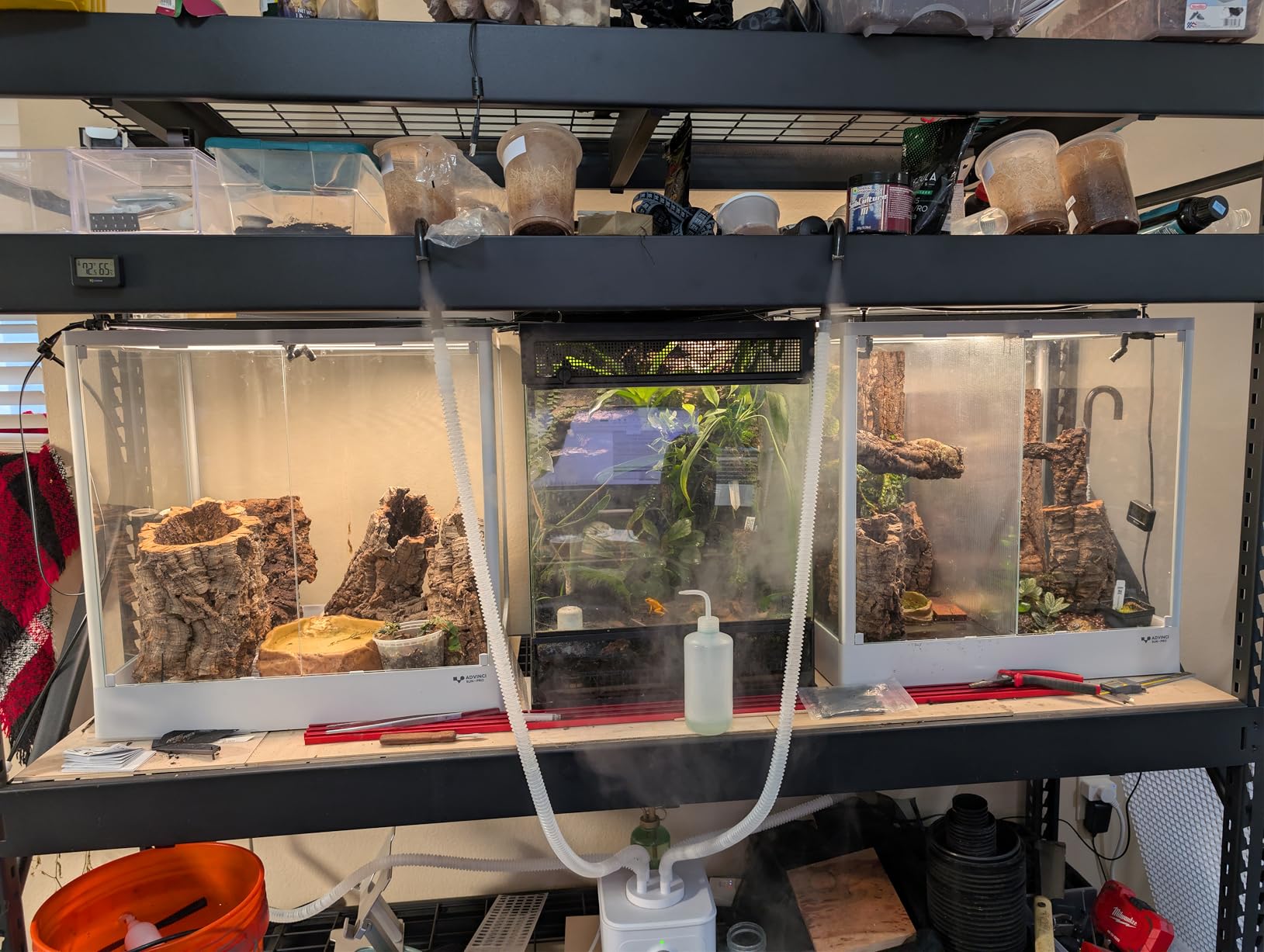 Reptile Terrarium 18