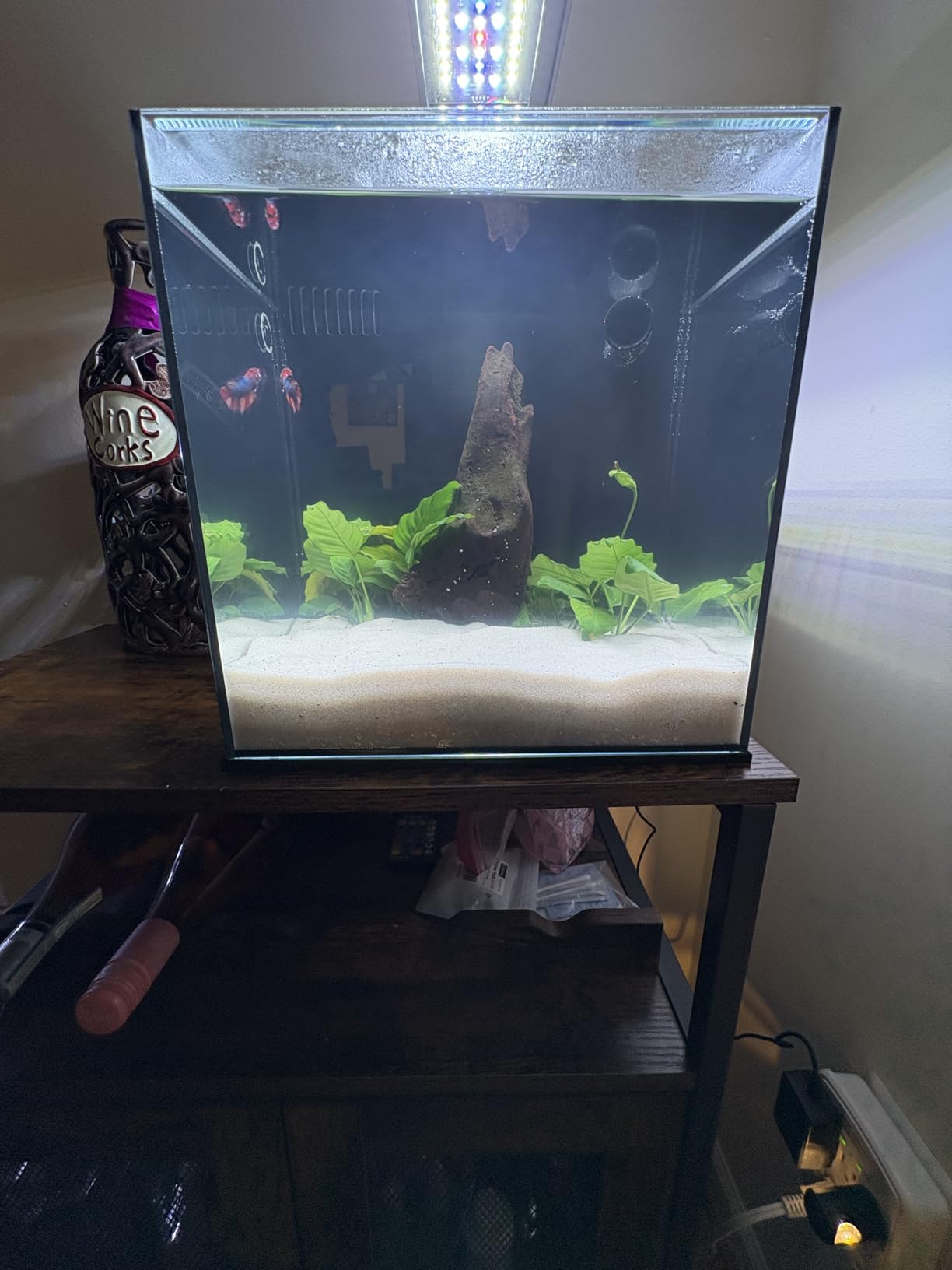 Ultum Nature Systems Dual AIO - Freshwater/Saltwater Compatible, All in One Rimless Tank with Triple Chamber Filtration System, Integrated Filter Aquarium with Leveling Mat - 6 Gallon, 45SA, Black customer photo 1