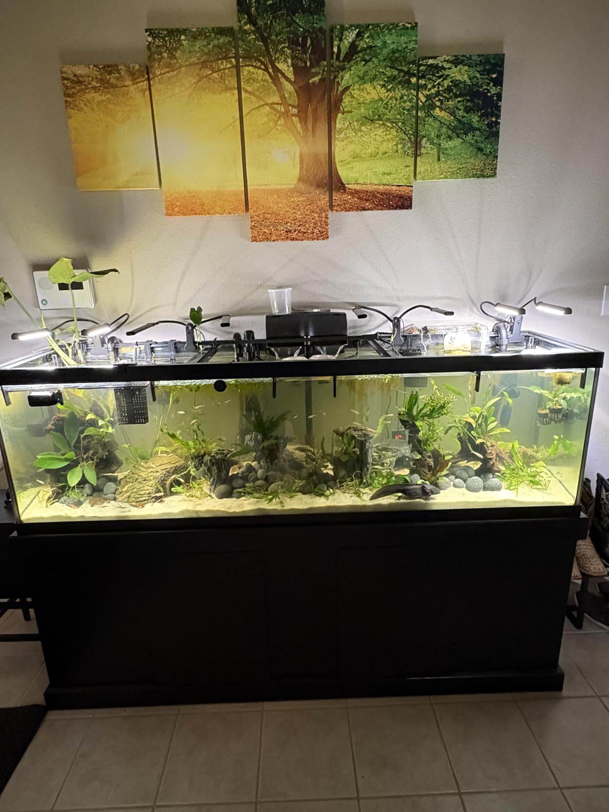 79 Gal Aquarium Chiller, 1/3 HP Fish Tank Water Chiller, Hydroponic Water Chiller with Touch Screen, Hydroponics System Axolotl Jellyfish Coral Reef 300L customer photo 1