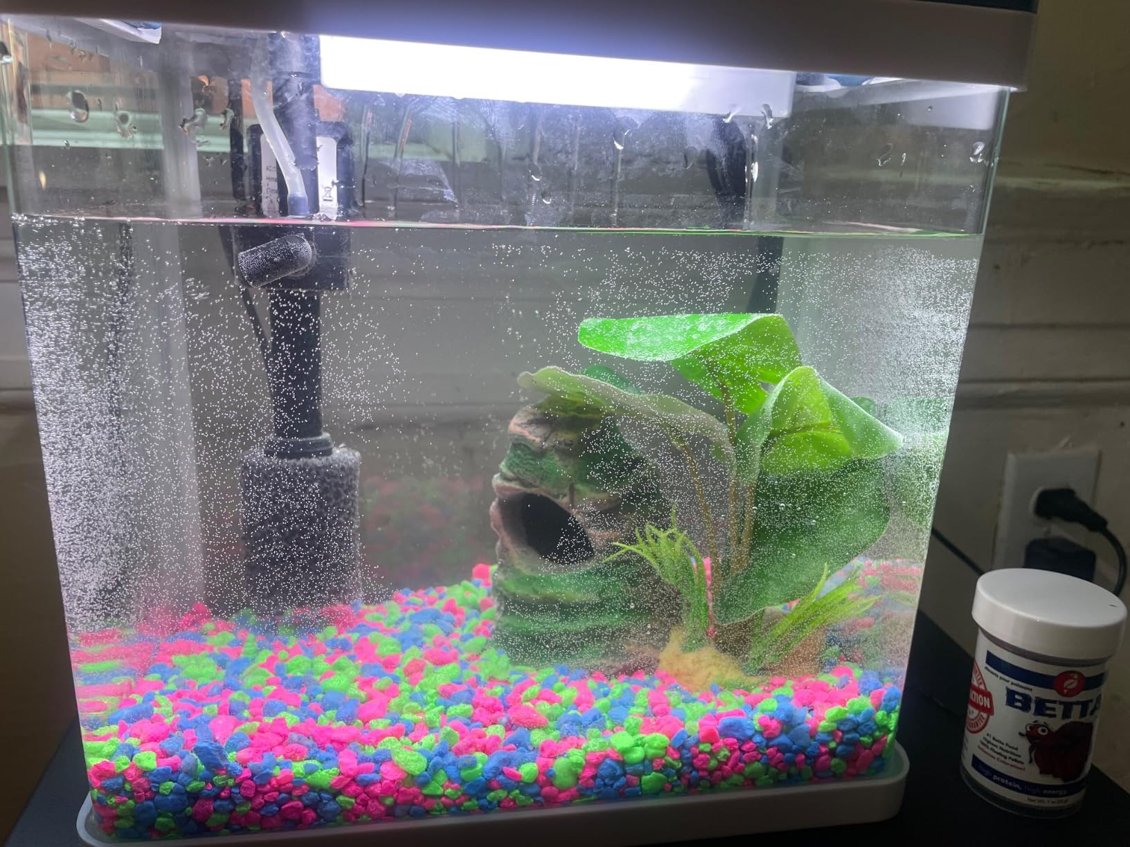 20 Gallon Fish Tank, Betta Large Aquarium Starter Kits,100% Glass Material customer photo 2