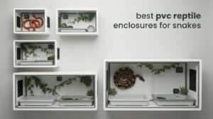 best pvc reptile enclosures for snakes