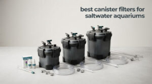 best canister filters for saltwater aquariums